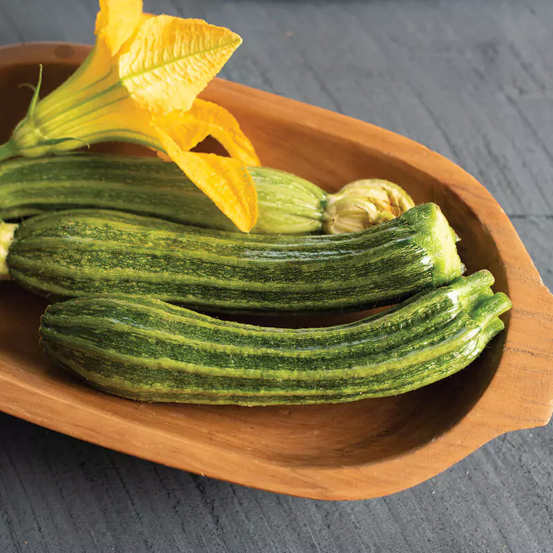 three pantheon zucchini in a wood bowl with squash blossoms